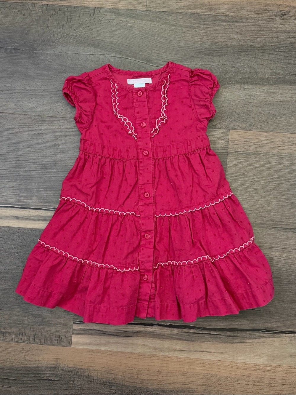 Janie & Jack '07 Fuchsia Swiss Dot Ruffle Dress Size 12-18 Months